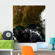 Southeastern United States Wall Decal