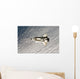 Space Shuttle Endeavour Wall Decal Design 9