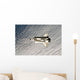 Space Shuttle Endeavour Wall Decal Design 9