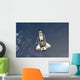 Space Shuttle Endeavour Wall Decal Design 7