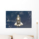Space Shuttle Endeavour Wall Decal Design 6