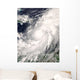 Hurricane Omar Wall Decal
