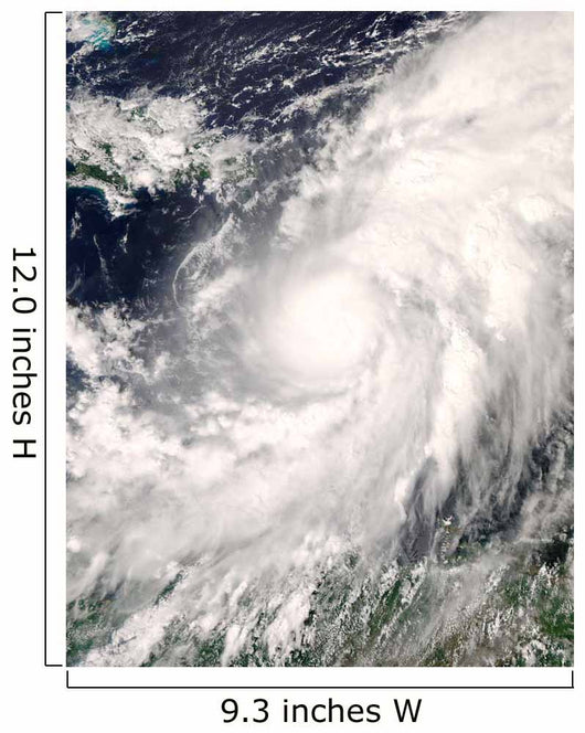 Hurricane Omar Wall Decal