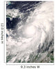 Hurricane Omar Wall Decal