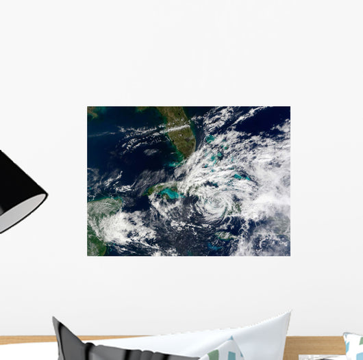 Hurricane Paloma Wall Decal Design 1