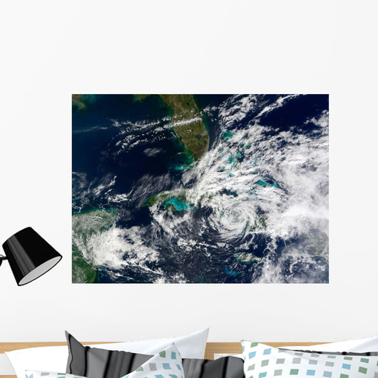 Hurricane Paloma Wall Decal Design 1