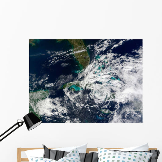 Hurricane Paloma Wall Decal Design 1