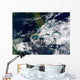 Hurricane Paloma Wall Decal Design 1