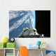 Space Shuttle Endeavour's Payload Wall Decal Design 1