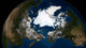 Arctic Sea Ice Wall Decal Design 2