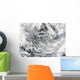 Ship Tracks Pacific Ocean Wall Decal
