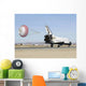 Space Shuttle Endeavour with Wall Decal