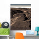 Three Craters Eastern Hellas Wall Decal
