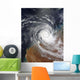 Tropical Cyclone Billy over Wall Decal Design 1