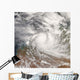 Tropical Cyclone Billy Wall Decal