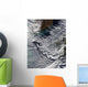 Cloud Vortices off Cheju Wall Decal