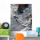 Cloud Vortices off Cheju Wall Decal