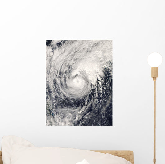 Typhoon Dolphin Philippine Sea Wall Decal