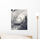 Typhoon Dolphin Philippine Sea Wall Decal