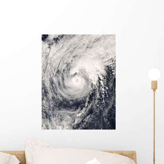 Typhoon Dolphin Philippine Sea Wall Decal