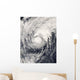Typhoon Dolphin Philippine Sea Wall Decal