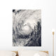 Typhoon Dolphin Philippine Sea Wall Decal