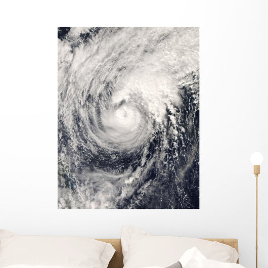 Typhoon Dolphin Philippine Sea Wall Decal