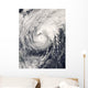 Typhoon Dolphin Philippine Sea Wall Decal