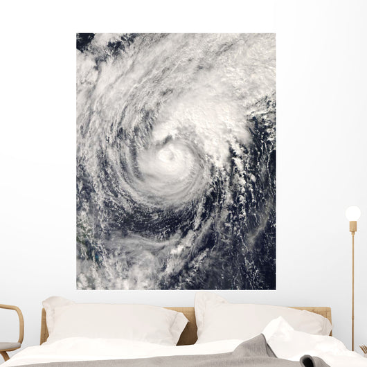 Typhoon Dolphin Philippine Sea Wall Decal