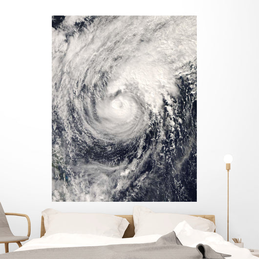 Typhoon Dolphin Philippine Sea Wall Decal