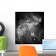Ngc 346 and N66 Wall Decal