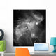 Ngc 346 and N66 Wall Decal
