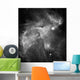 Ngc 346 and N66 Wall Decal