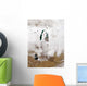 Snow around Aral Sea Wall Decal