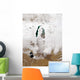 Snow around Aral Sea Wall Decal