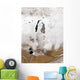 Snow around Aral Sea Wall Decal