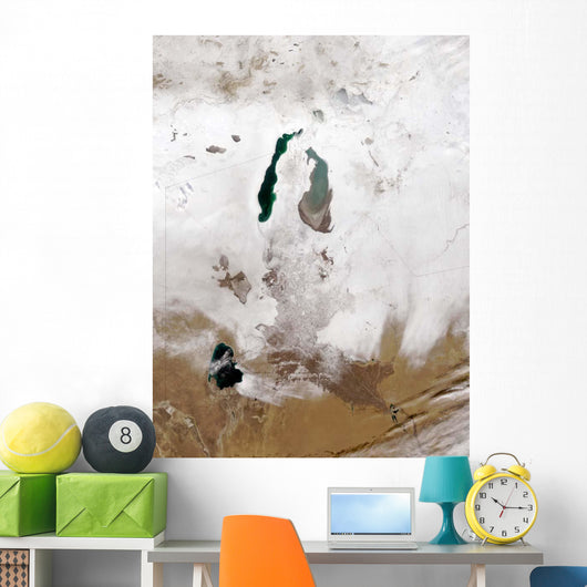 Snow around Aral Sea Wall Decal