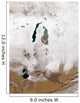Snow around Aral Sea Wall Decal
