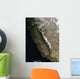 California Wall Decal