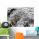 Snow Europe Wall Decal