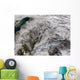 Snow Europe Wall Decal