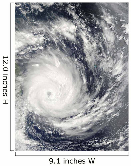 Tropical Cyclone Gael off Wall Decal Design 2