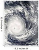 Tropical Cyclone Gael off Wall Decal Design 2