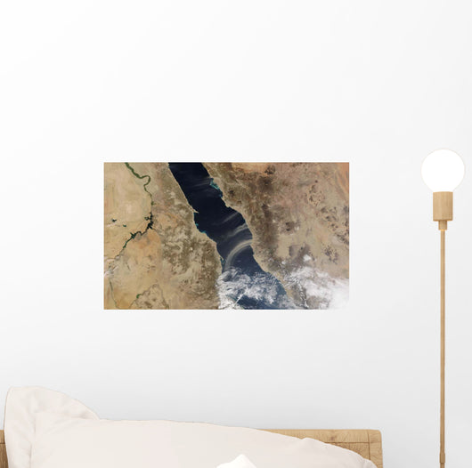 Dust Plumes Blow off Wall Decal