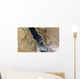 Dust Plumes Blow off Wall Decal