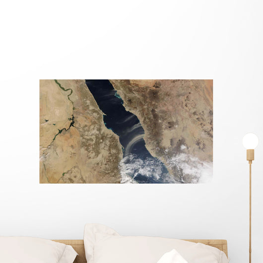 Dust Plumes Blow off Wall Decal