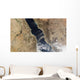 Dust Plumes Blow off Wall Decal