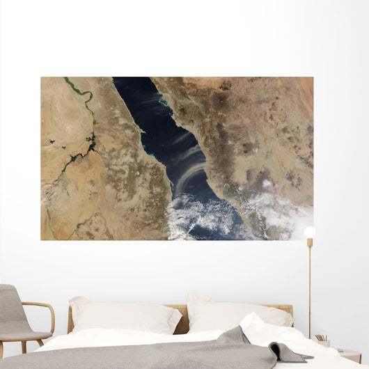 Dust Plumes Blow off Wall Decal