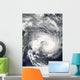 Tropical Cyclone Gael Wall Decal