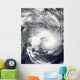 Tropical Cyclone Gael Wall Decal